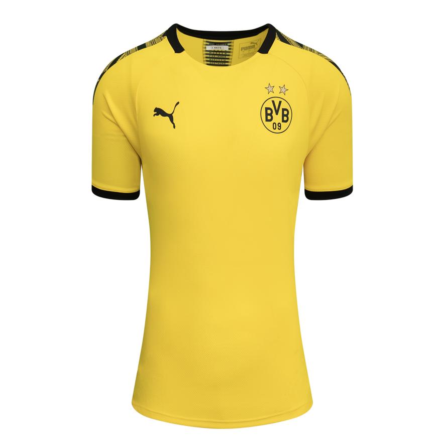 Matthias Sammer Official UEFA Champions League Back Signed and Framed Borussia Dortmund 2019-20 Home Shirt with Fan Style Number