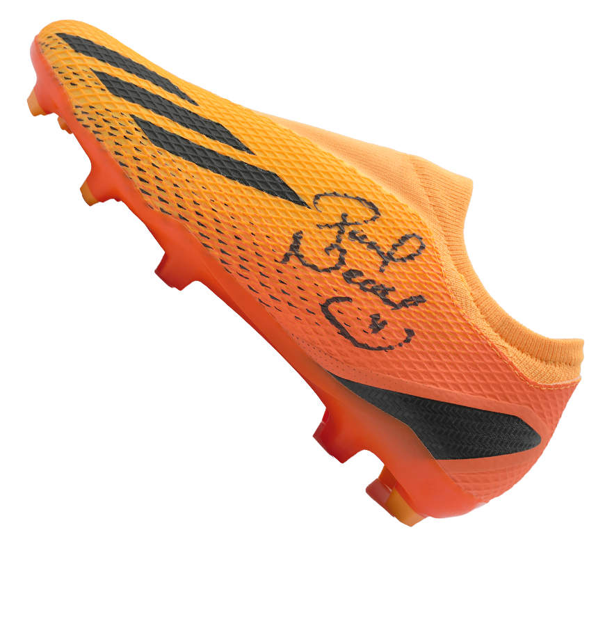 Pavel Nedved Official UEFA Champions League Signed Adidas Boot In Photo Acrylic Case: Option 1