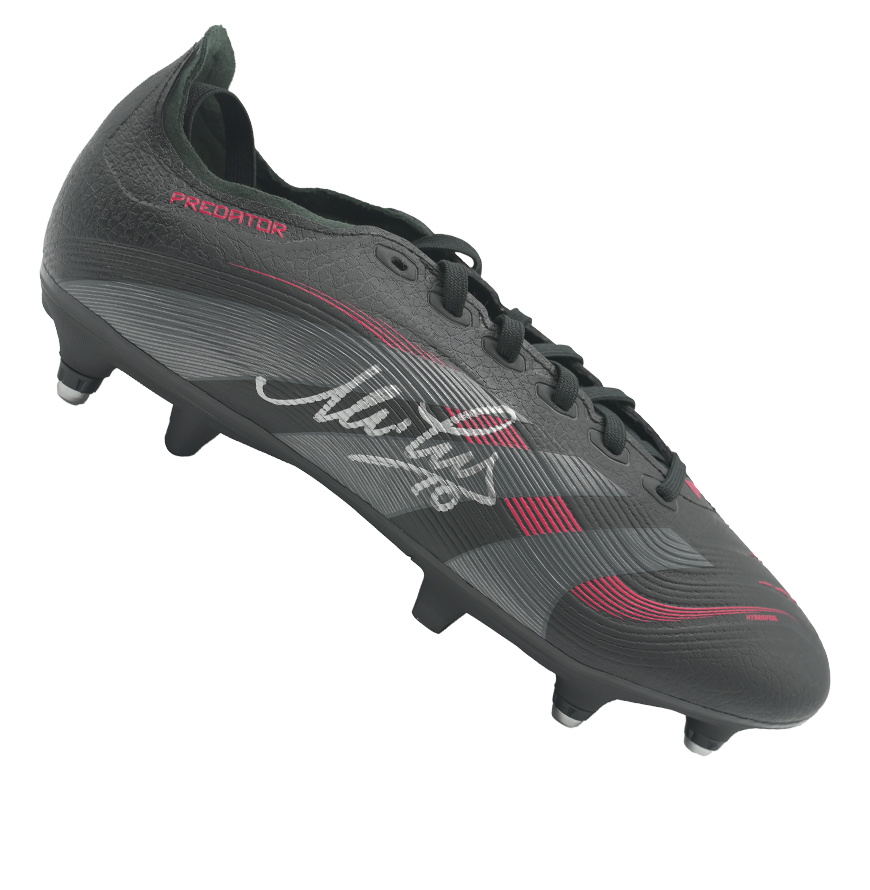 Alessandro Del Piero Official UEFA Champions League Signed Adidas Predator Boot In Photo Acrylic Case: Option 1